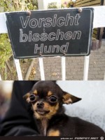 Ein-bisschen-Hund.jpg auf www.funpot.net