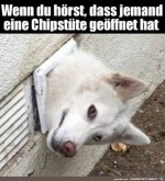 Was-hre-ich-da?.jpg auf www.funpot.net