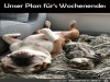 weiter