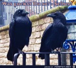Was-guckst-du?.jpg auf www.funpot.net