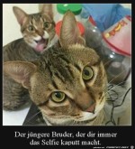 Typisch-Geschwister.jpg auf www.funpot.net