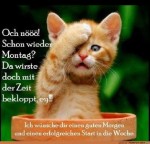 Schon-wieder-Montag.jpg auf www.funpot.net