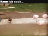 weiter