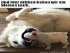 weiter