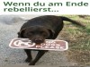 weiter