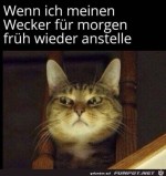 Wecker-stellen.jpg auf www.funpot.net