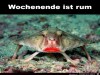 weiter