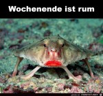 Wochenende-ist-rum.jpg auf www.funpot.net