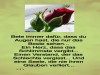 weiter