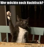 Wer-will-Nachtisch?.jpg auf www.funpot.net