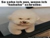 weiter