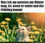 Ich-freu-mich-auf-den-Frhling.jpg auf www.funpot.net