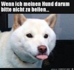 Wenn-mein-Hund-nicht-bellen-soll.jpg auf www.funpot.net