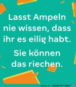 Ampeln-knnen-das-riechen.jpg auf www.funpot.net
