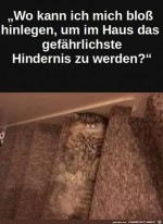 Stolperfalle.jpg auf www.funpot.net