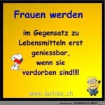 Geniebar.jpg auf www.funpot.net