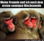 Fetter-Sonnenbrand.jpg auf www.funpot.net