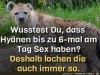 weiter