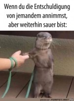 Immer-noch-sauer.jpg auf www.funpot.net