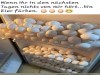 weiter
