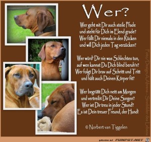 Wer?.jpg von NvanTiggelen