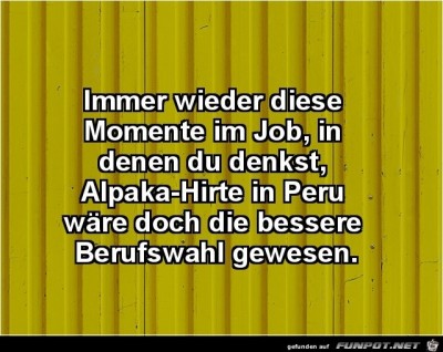 Diese-Momente.jpg von Steffen