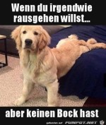 Irgendwie-rausgehen.jpg auf www.funpot.net