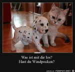 Was-ist-mir-dir-los?.jpg auf www.funpot.net