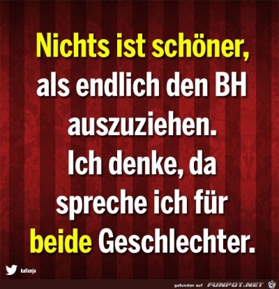 Nichts-ist-schöner.jpg von Sia