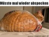 weiter