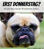 Donnerstag.jpg auf www.funpot.net