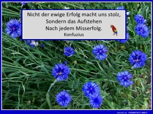 herz-Bild: Nicht der Erfolg