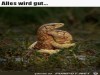 weiter
