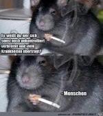 Wer-bertrgt-noch-Krankheiten?.jpg auf www.funpot.net