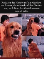Hund-verteidigt-Kind.jpg auf www.funpot.net