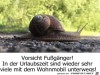 weiter
