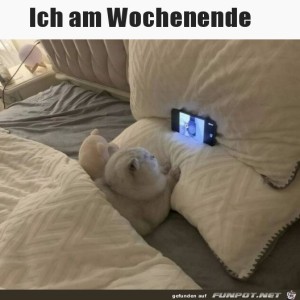 fun-Bild: Ich am Wochenende