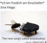 Nervige-Fliege.jpg auf www.funpot.net