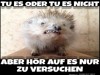 weiter
