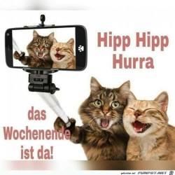 Wochenende.jpg auf www.funpot.net