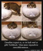 Katze-macht-es-sich-gemtlich.jpg auf www.funpot.net