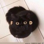 ich-will-Futter.jpg auf www.funpot.net