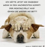 Montag-fllt-aus.jpg auf www.funpot.net