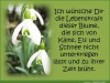 weiter