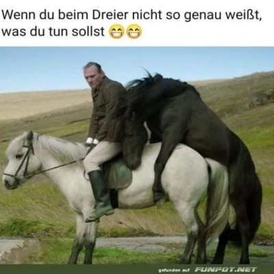 Dreier-Dilemma:-Pferde-Edition.jpg von Wilhelmine