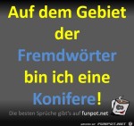 Das-Gebiet-der-Fremdwrter.jpg auf www.funpot.net