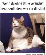Ohne-Brille.jpg auf www.funpot.net