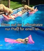 Nur-Platz-fr-einen.jpg auf www.funpot.net