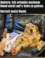 Mein-Hund.jpg auf www.funpot.net