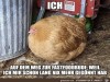 weiter
